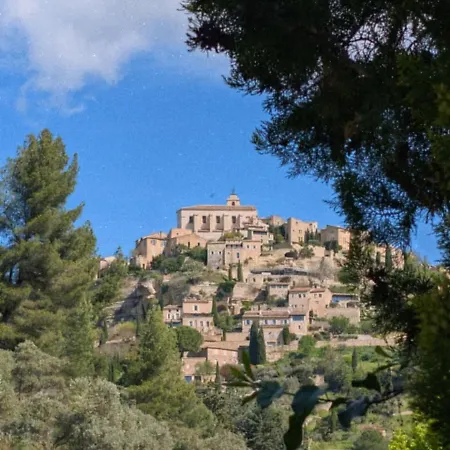 La Muscadelle L Isle Sur Sorgue